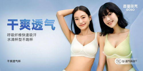 goso香蜜闺秀启示录 如何打造更专业的国民内衣
