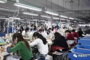 每天都要穿的内衣是怎么做出来的 今天就带你去探究竟