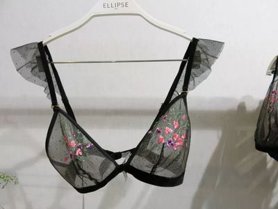 自信与性感 | 2018/19秋冬巴黎女士内衣展