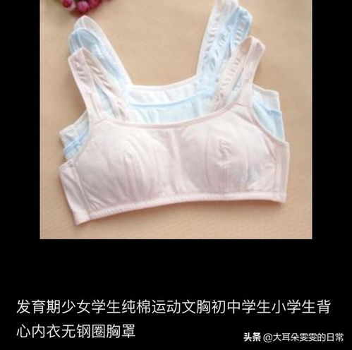 五年级女生如何选择合适的内衣