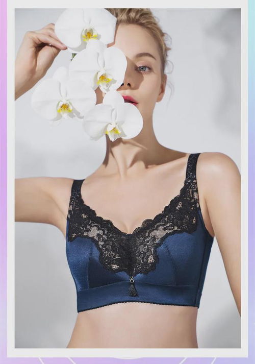 重塑内衣结构，解决夏日大烦恼——蝴蝶堂维纳贝拉内衣新品发布